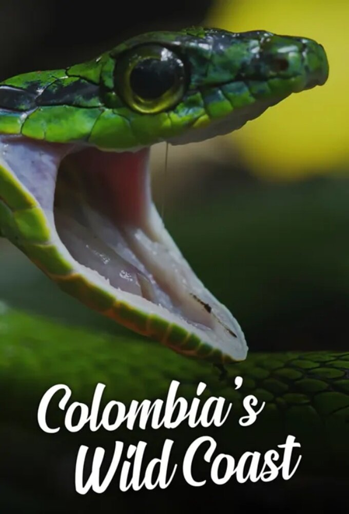 Colombia's Wild Coast ne zaman