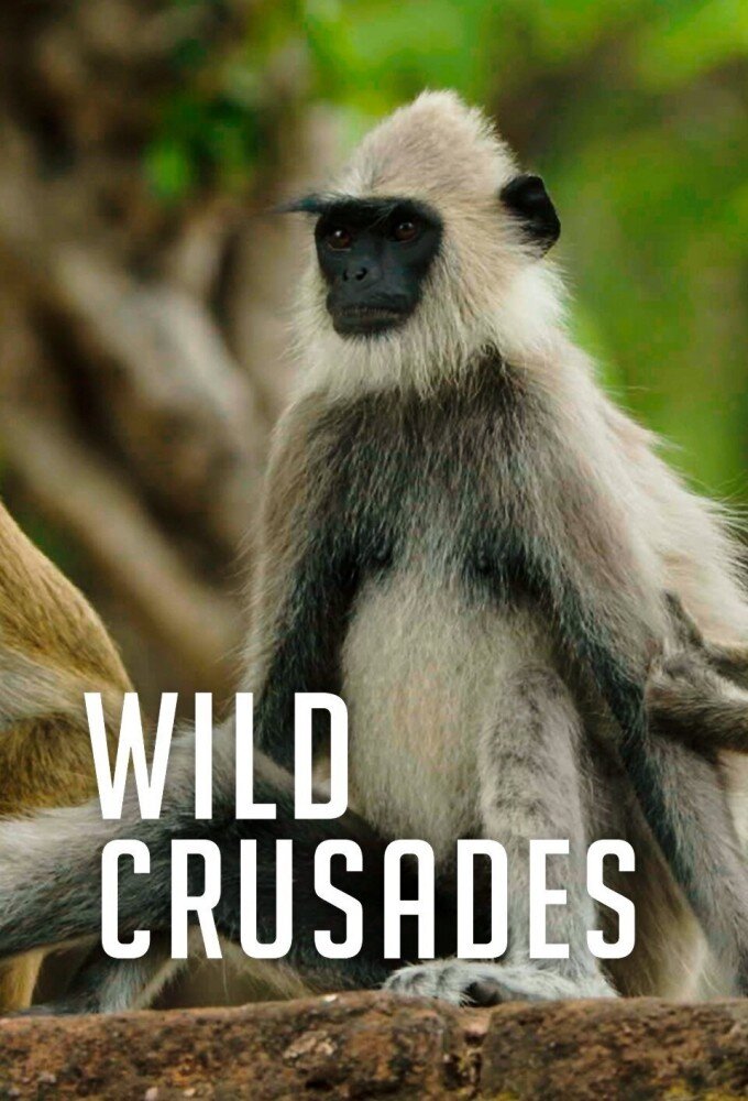 Wild Crusades ne zaman