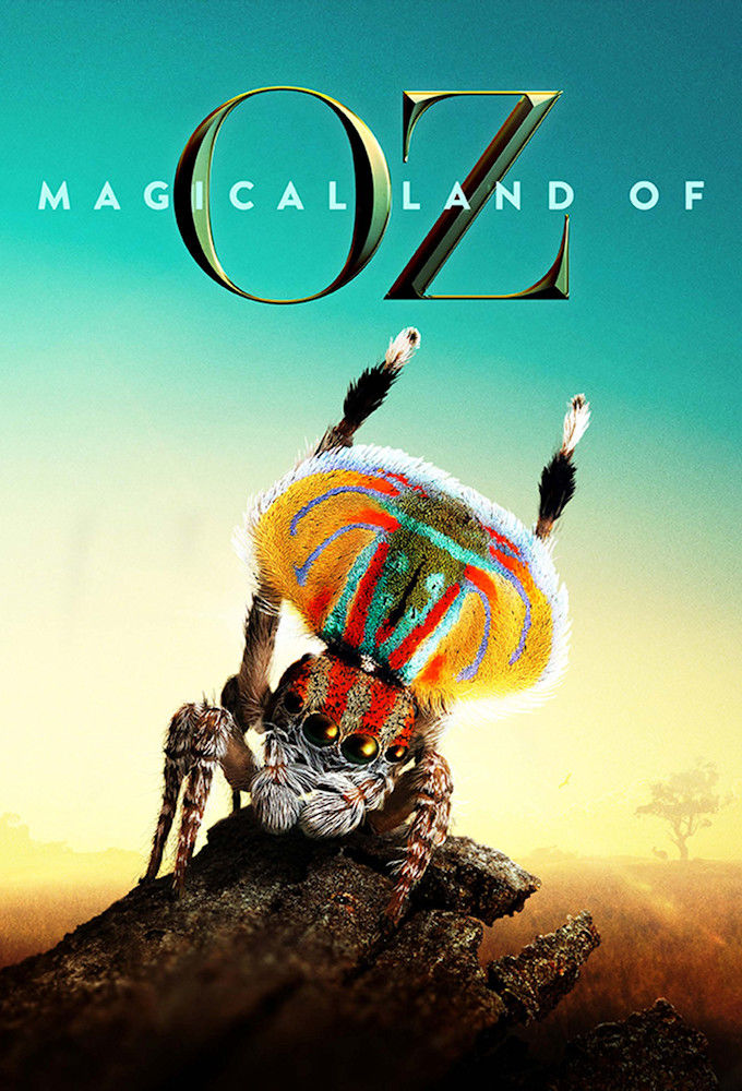 Magical Land of Oz ne zaman