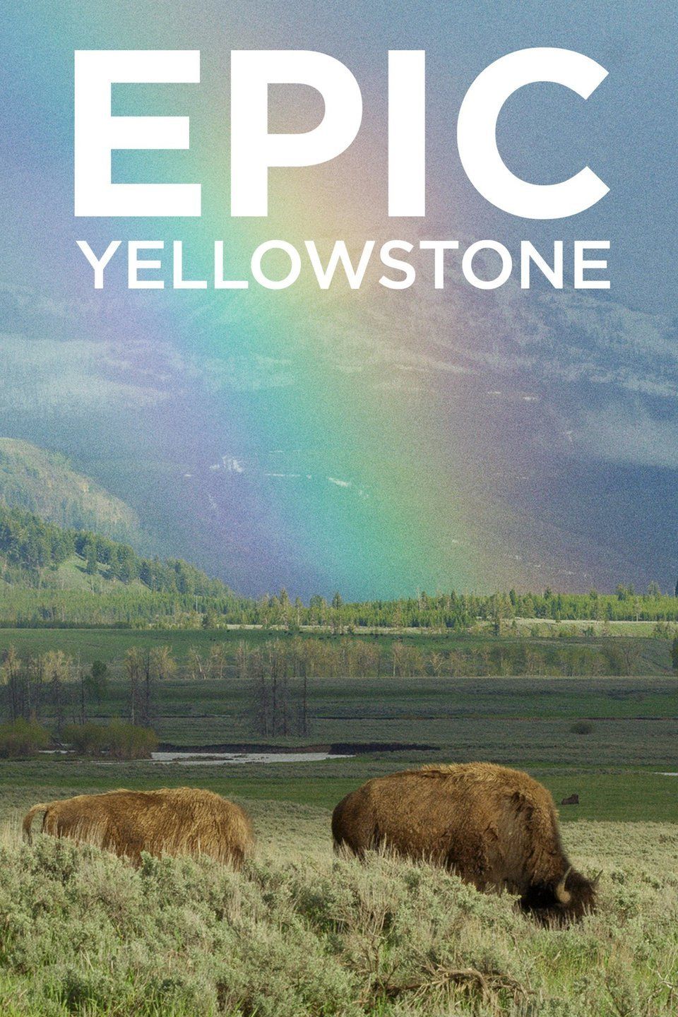 Epic Yellowstone ne zaman