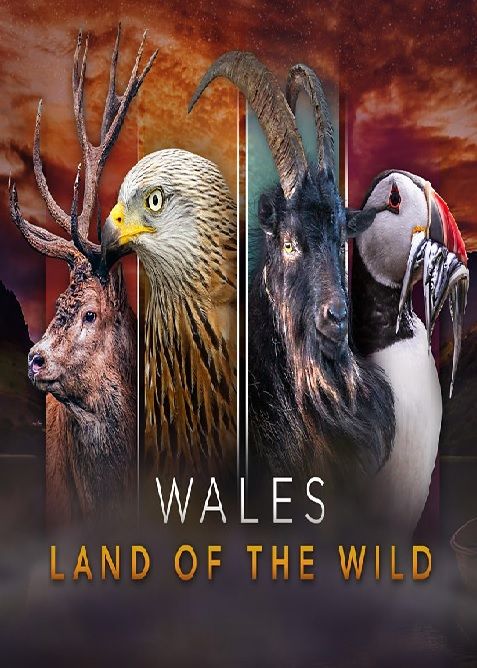 Wales: Land of the Wild ne zaman
