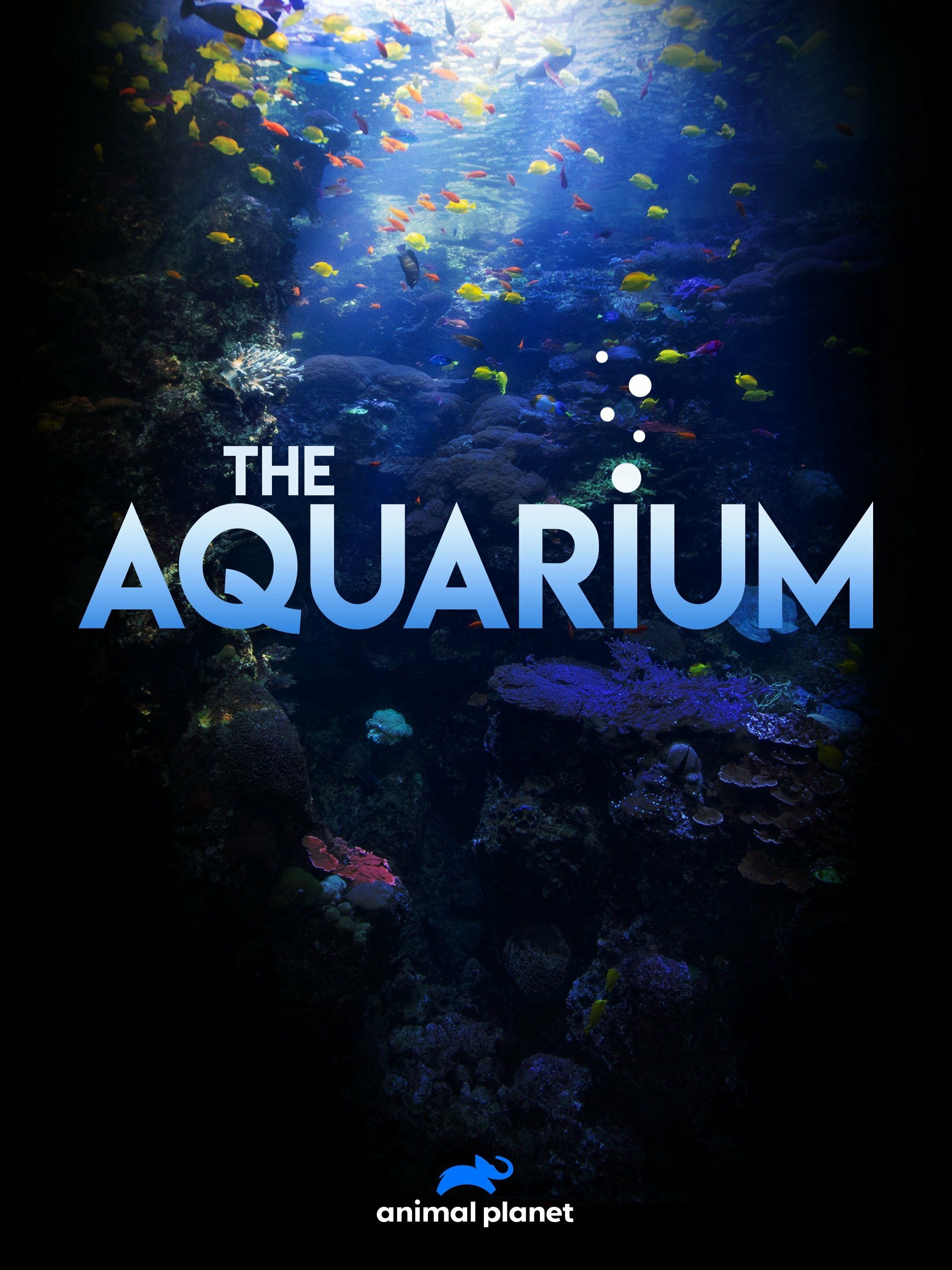 The Aquarium ne zaman