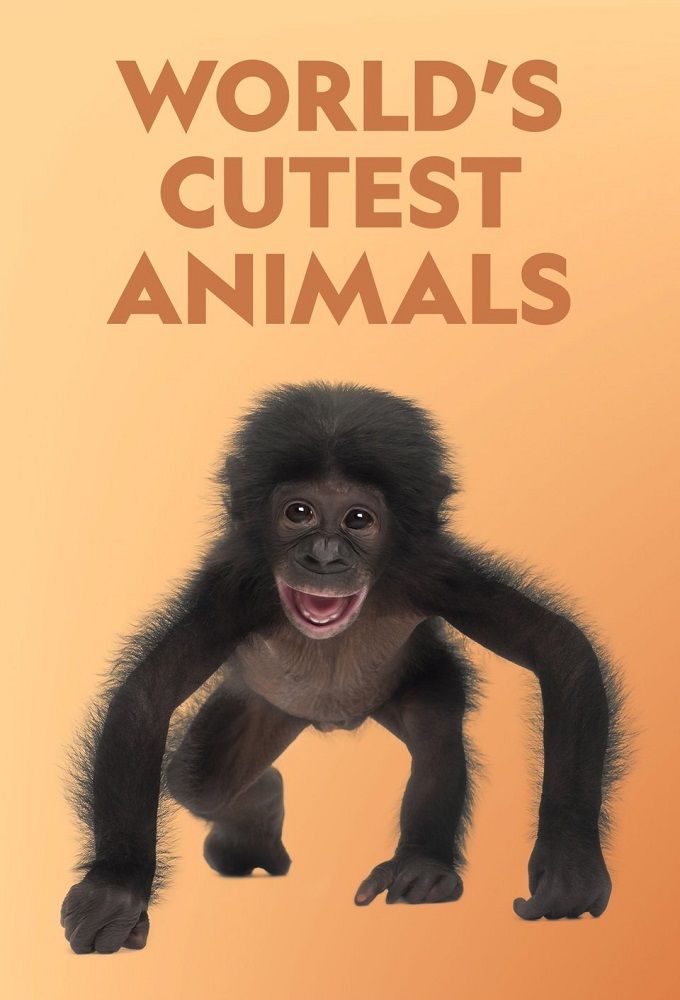 World's Cutest Animals ne zaman