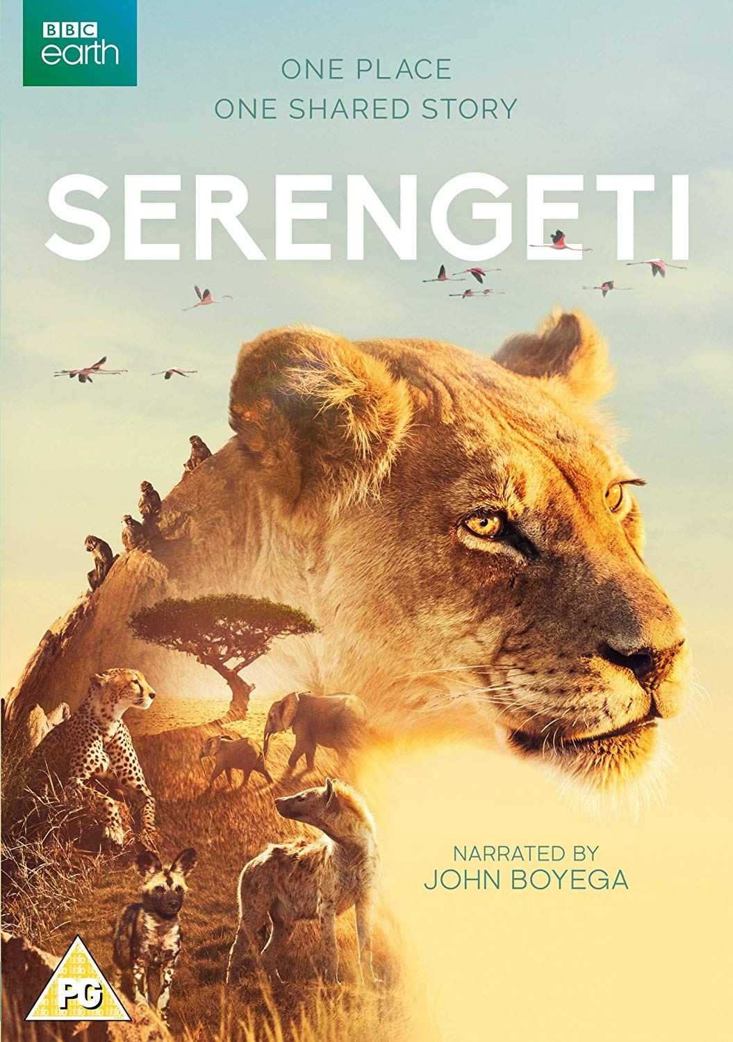Serengeti ne zaman
