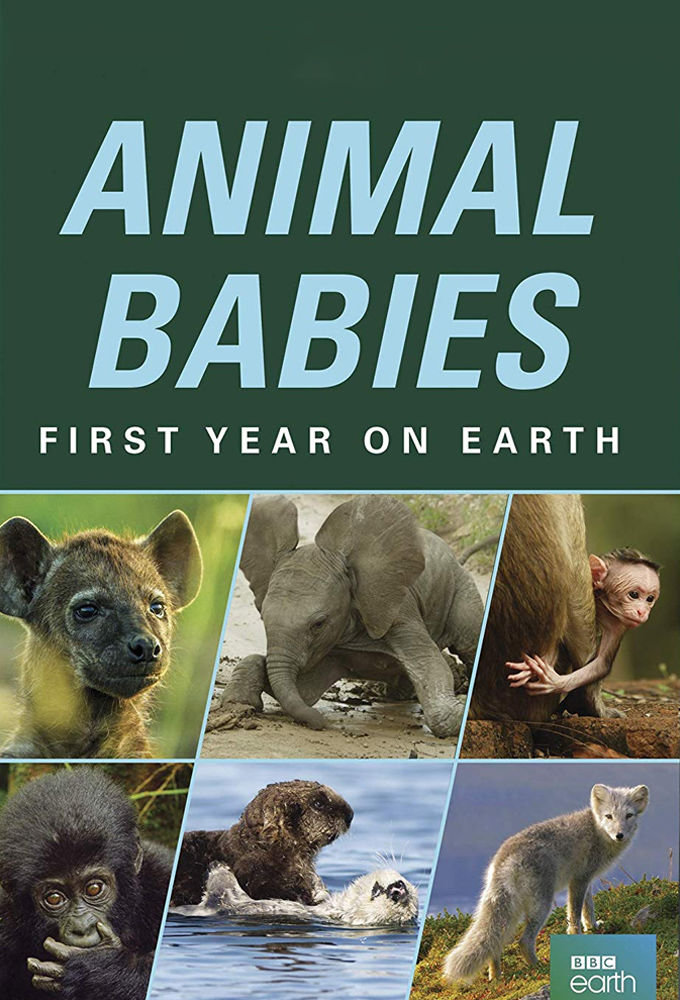 Animal Babies: First Year on Earth ne zaman