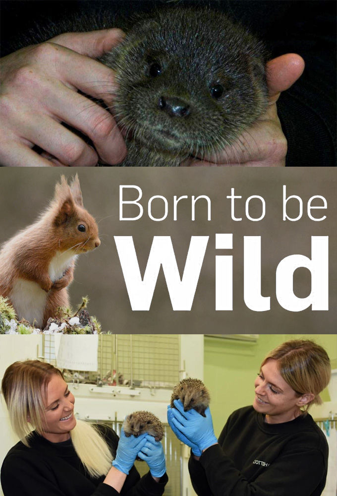 Born to Be Wild ne zaman