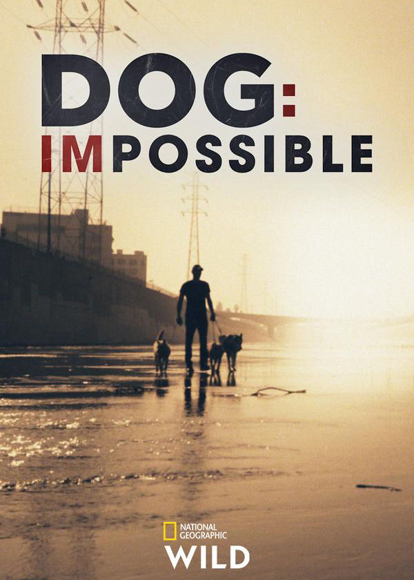 Dog: Impossible ne zaman