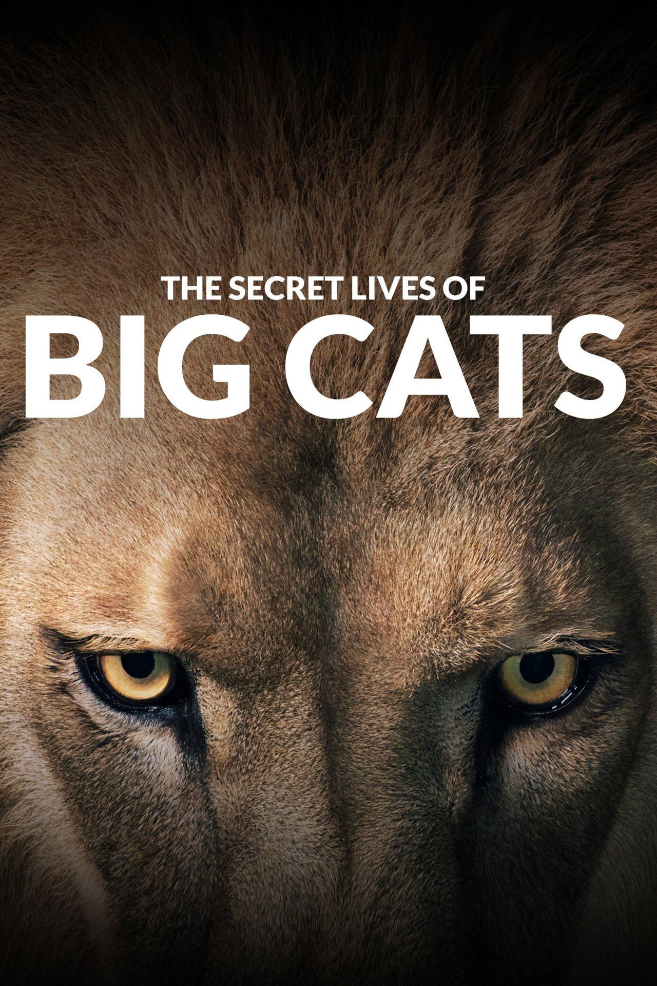 The Secret Lives of Big Cats ne zaman