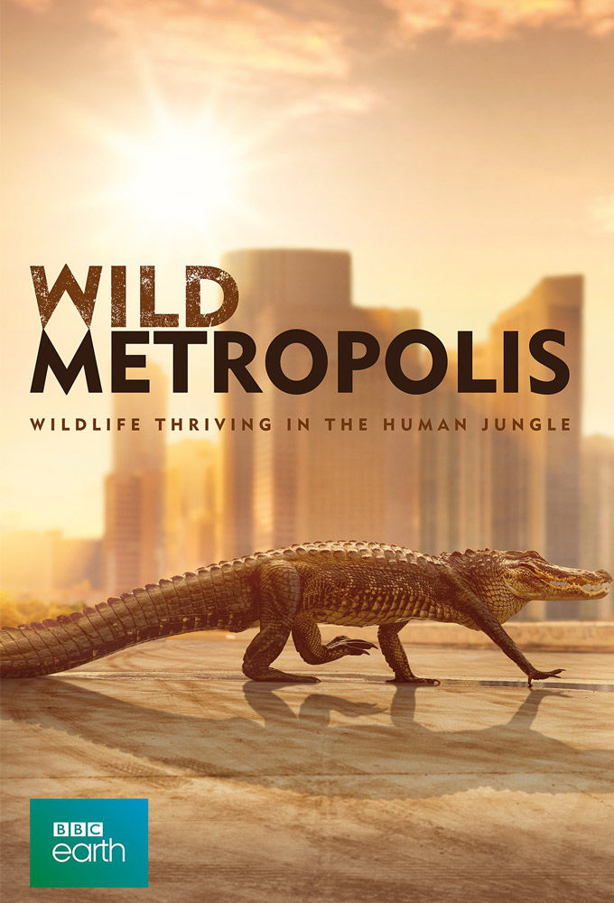 Wild Metropolis ne zaman