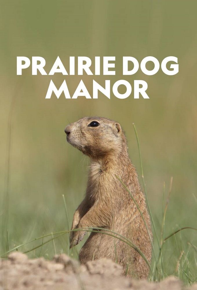 Prairie Dog Manor ne zaman