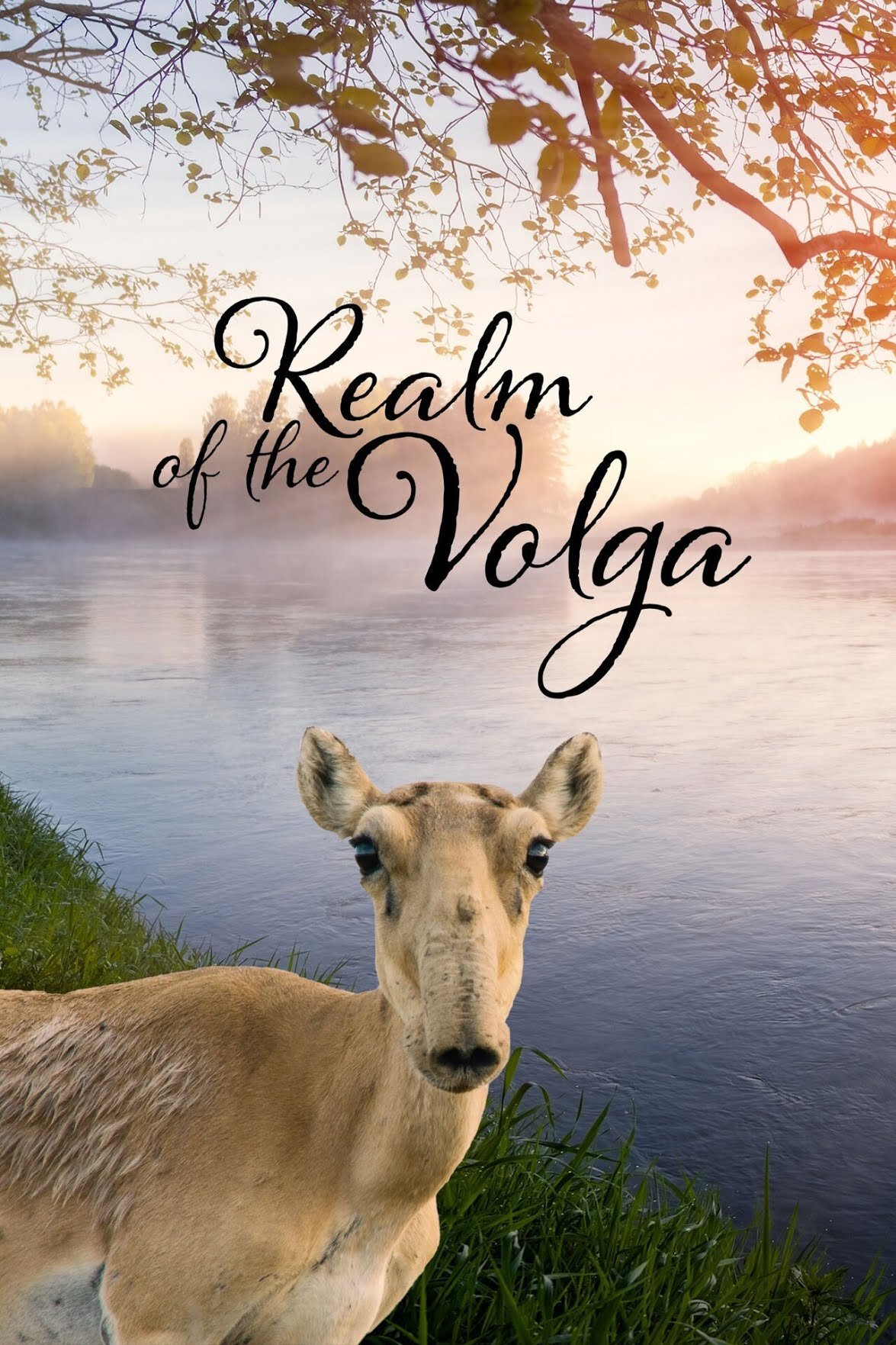 Realm of the Volga ne zaman