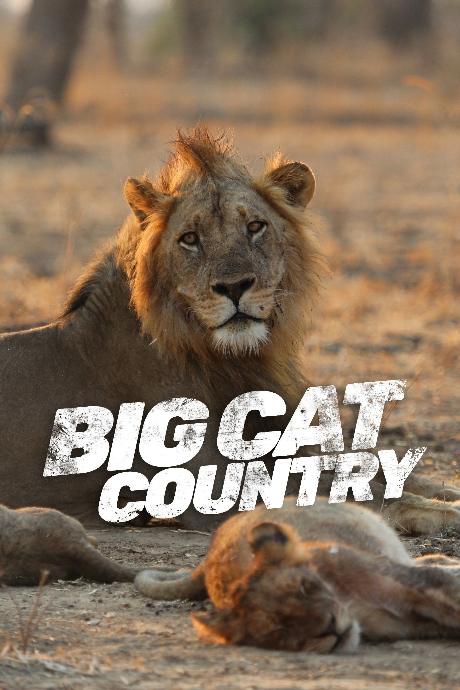Big Cat Country ne zaman