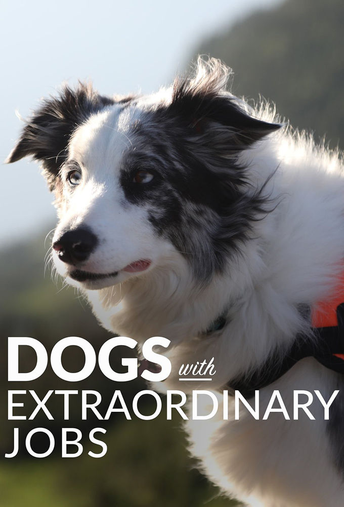 Dogs with Extraordinary Jobs ne zaman