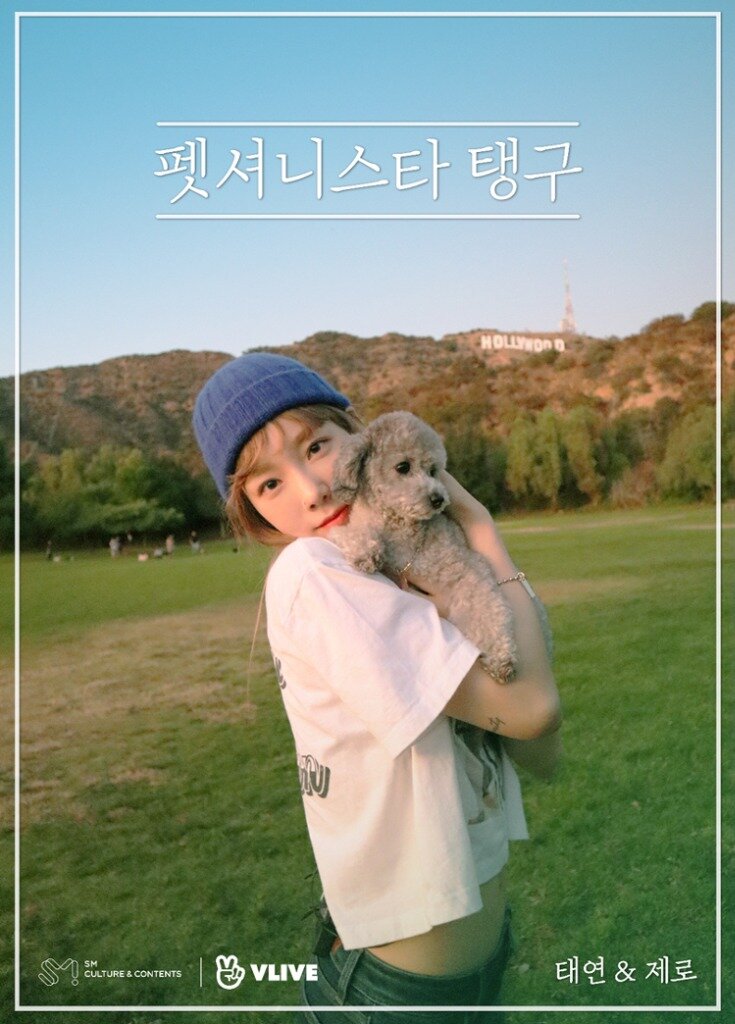 Petionista Taengoo ne zaman