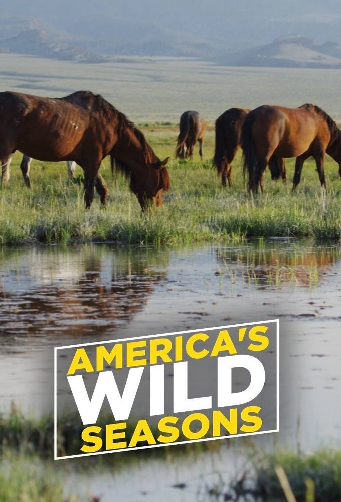 America's Wild Seasons ne zaman