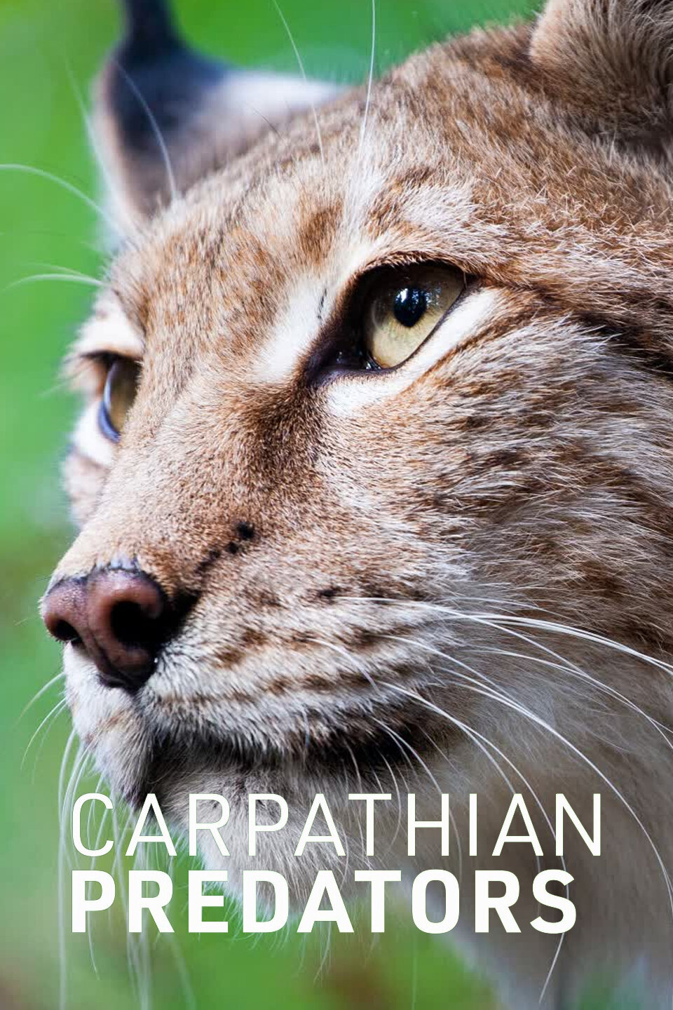 Carpathian Predators ne zaman