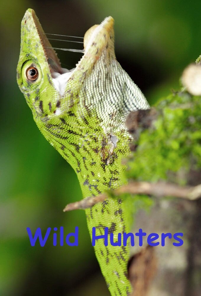 Wild Hunters ne zaman