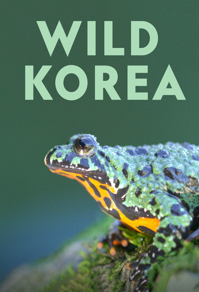 Wild Korea ne zaman