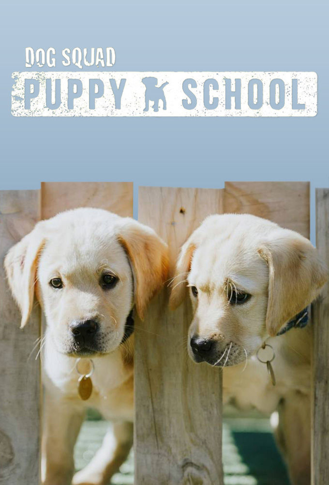 Dog Squad: Puppy School ne zaman