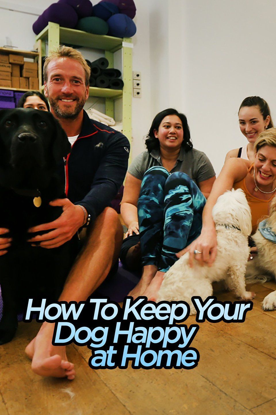 How to Keep Your Dog Happy at Home ne zaman