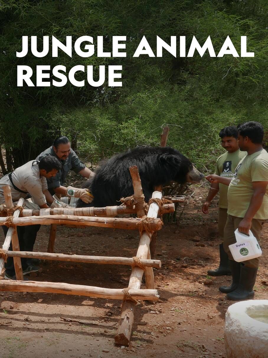 Jungle Animal Rescue ne zaman