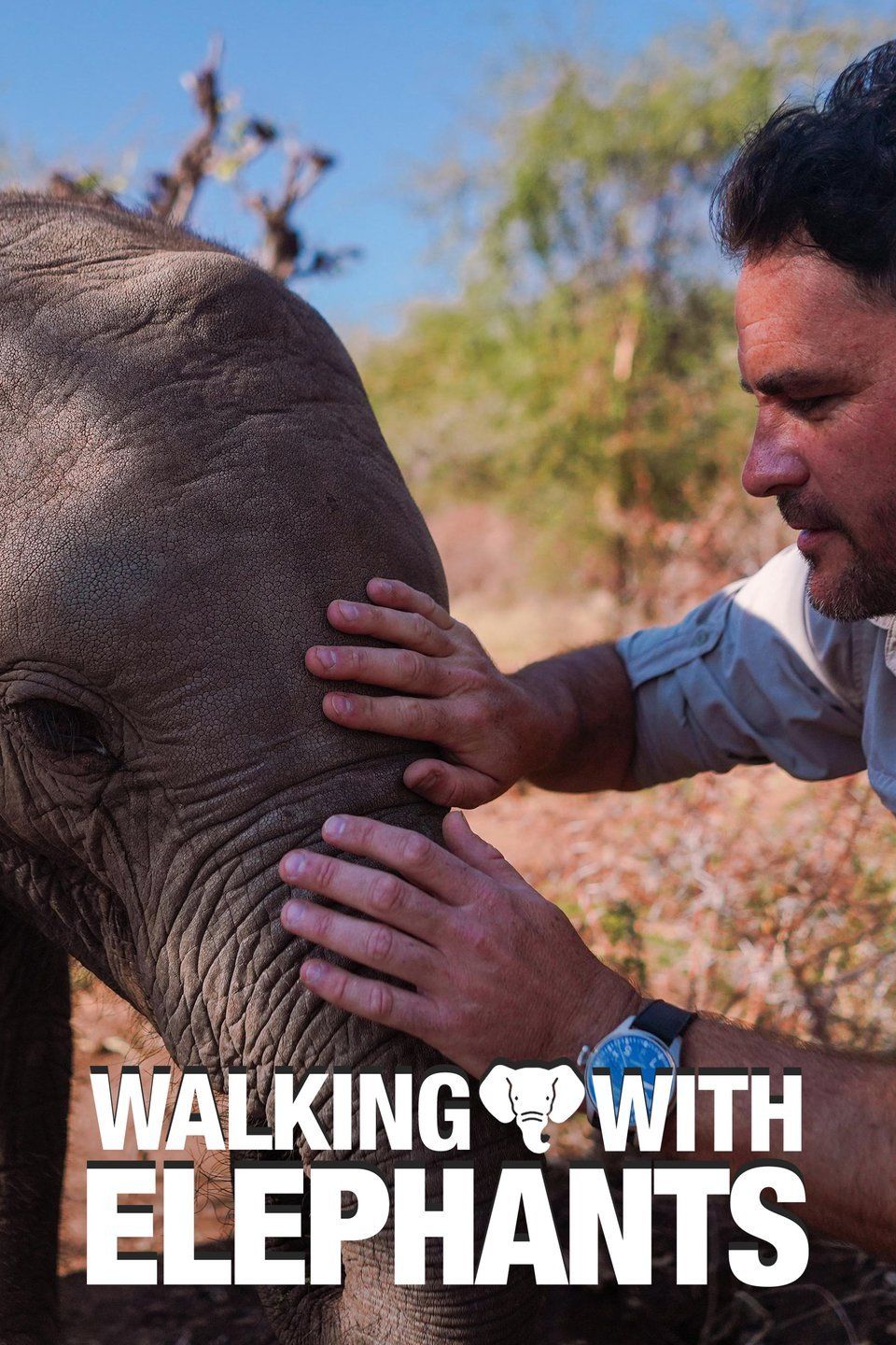 Walking with Elephants ne zaman