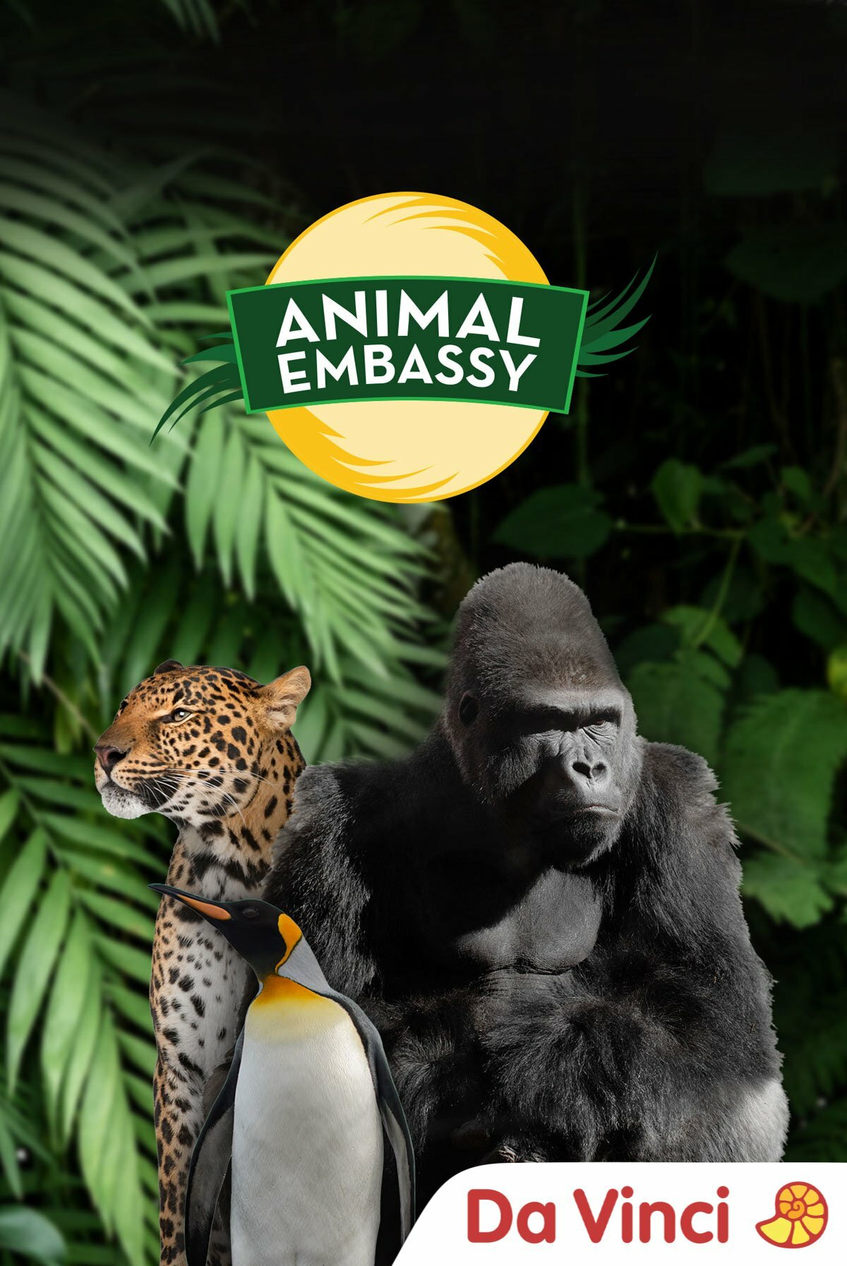 Animal Embassy ne zaman