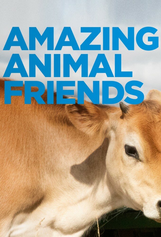 Amazing Animal Friends ne zaman
