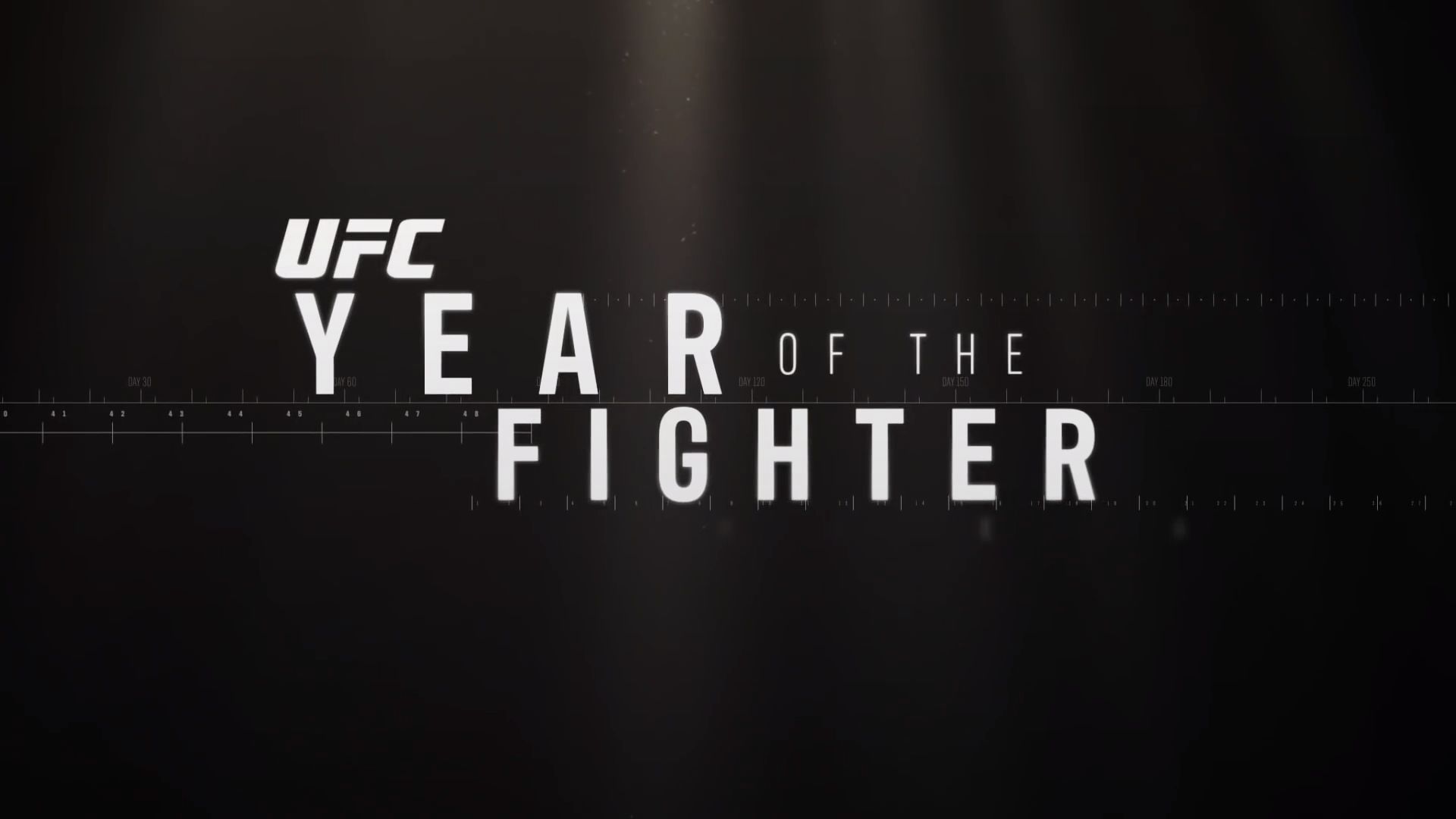Year of the Fighter ne zaman