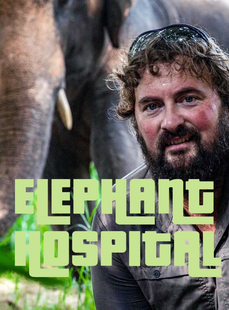 Elephant Hospital ne zaman