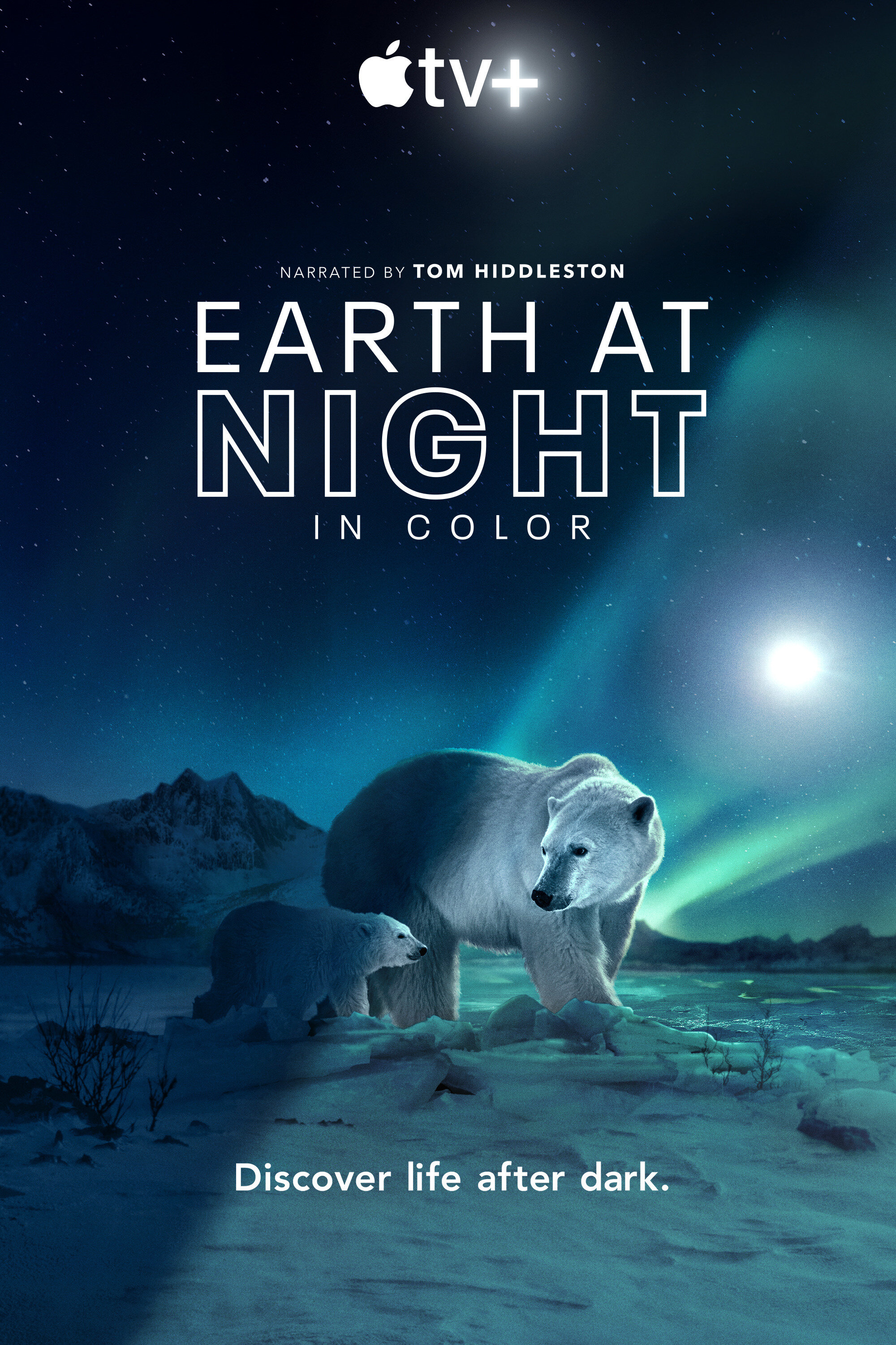 Earth At Night In Color ne zaman