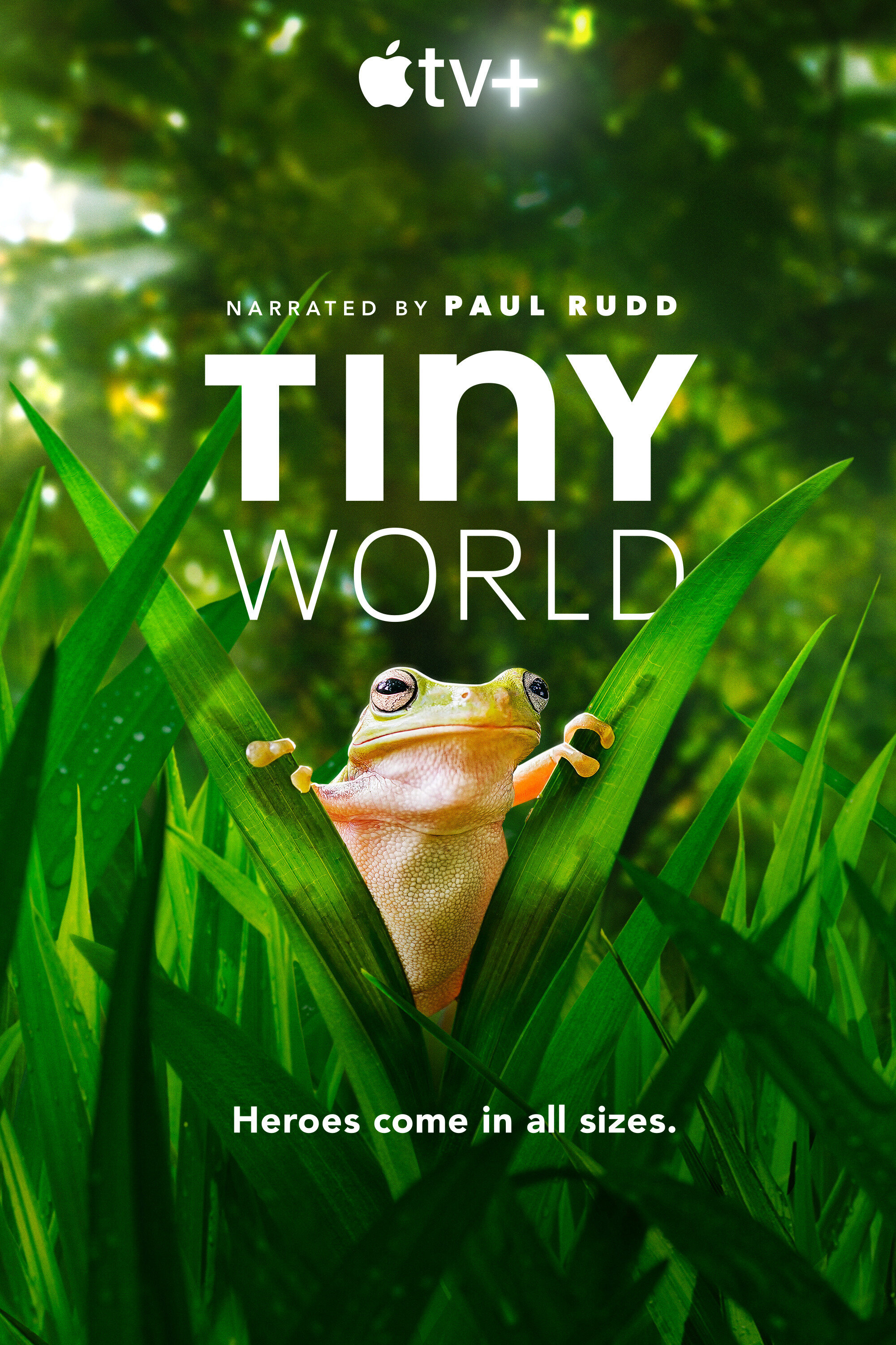 Tiny World ne zaman
