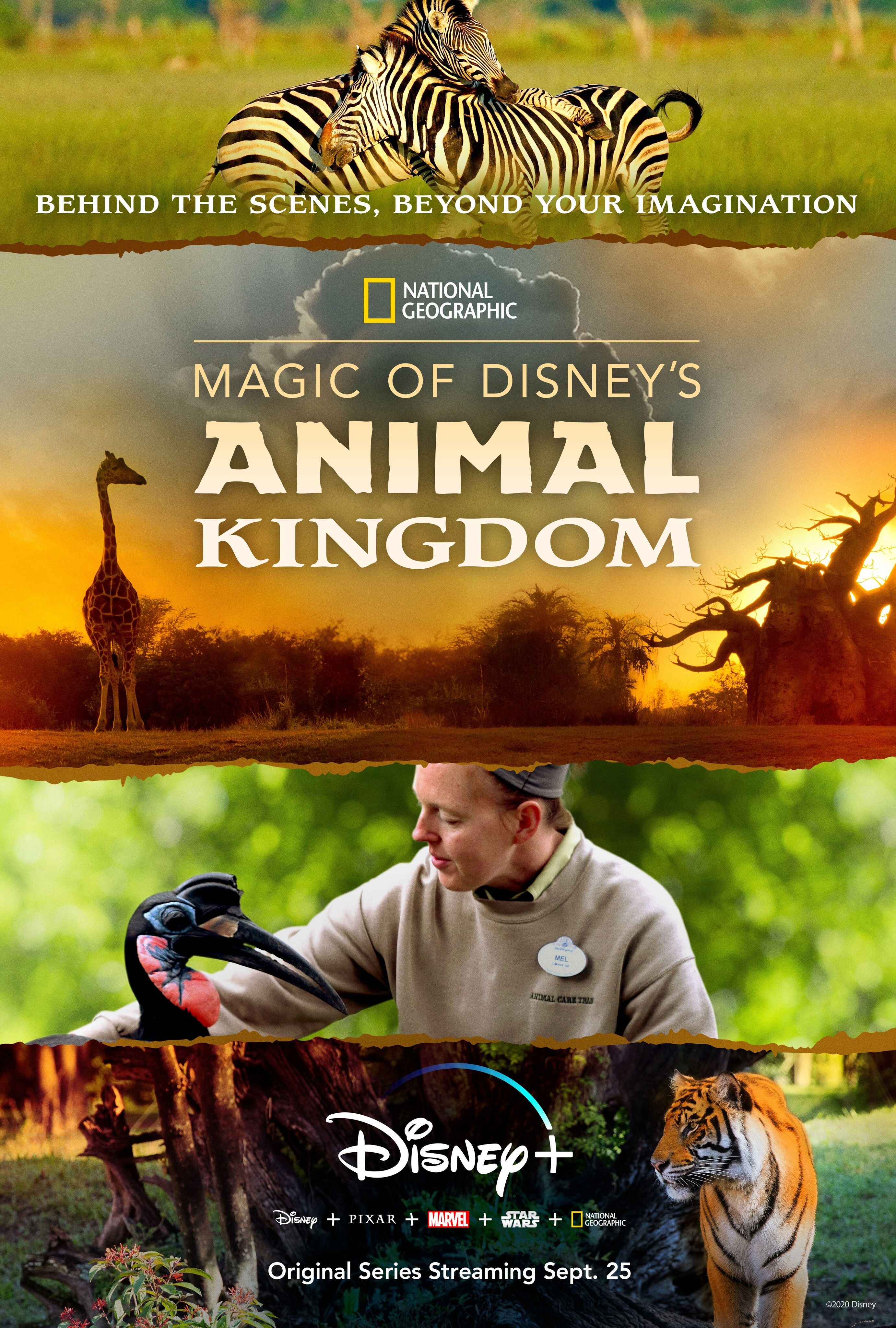 Magic of Disney's Animal Kingdom ne zaman