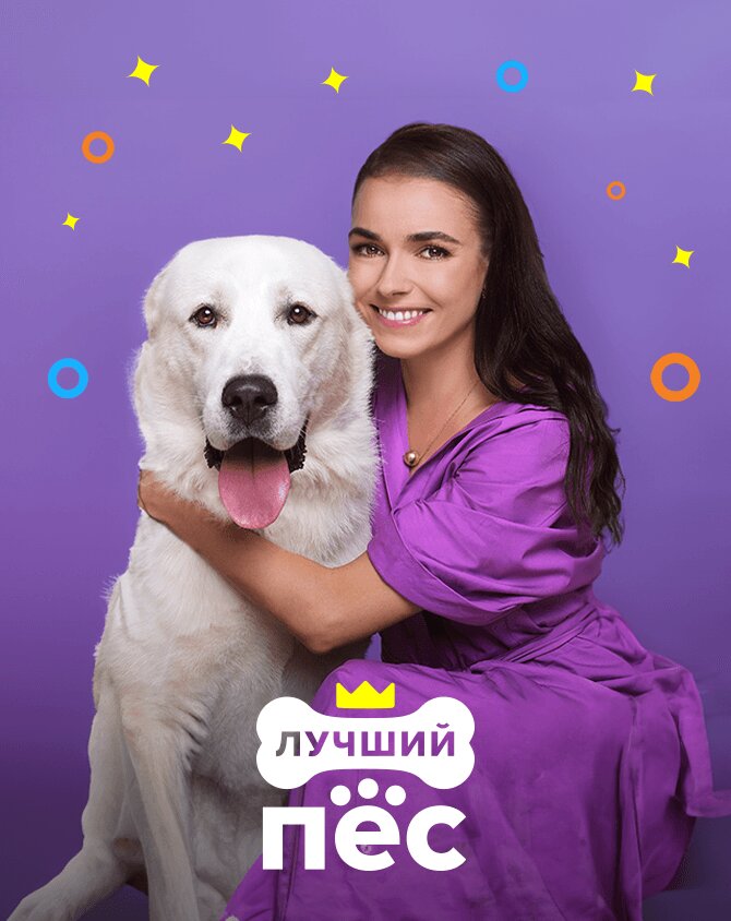 Лучший пёс ne zaman