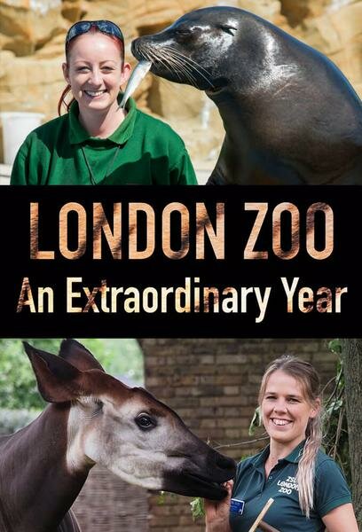 London Zoo: An Extraordinary Year ne zaman