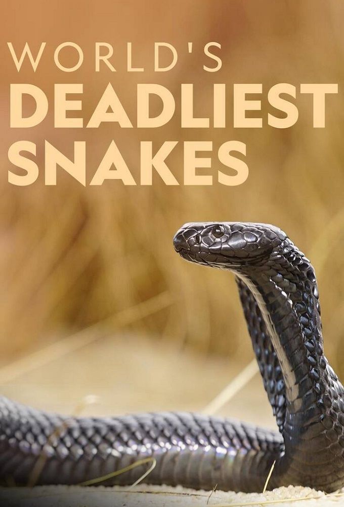 World's Deadliest Snakes ne zaman