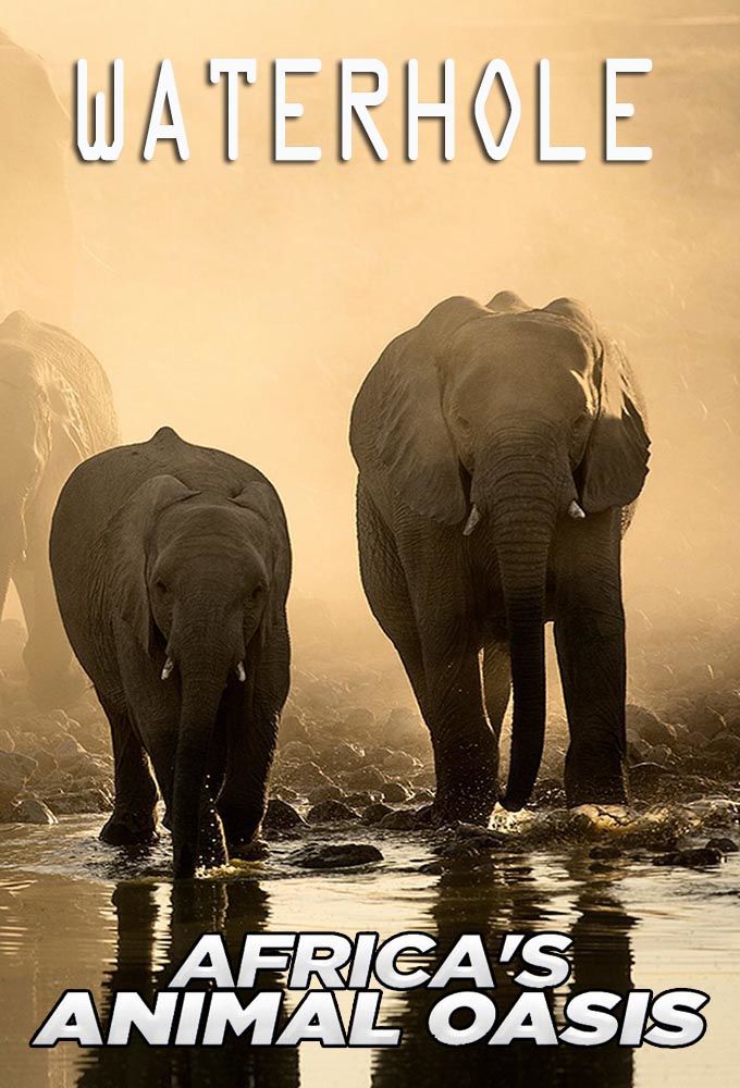Waterhole: Africa's Animal Oasis ne zaman