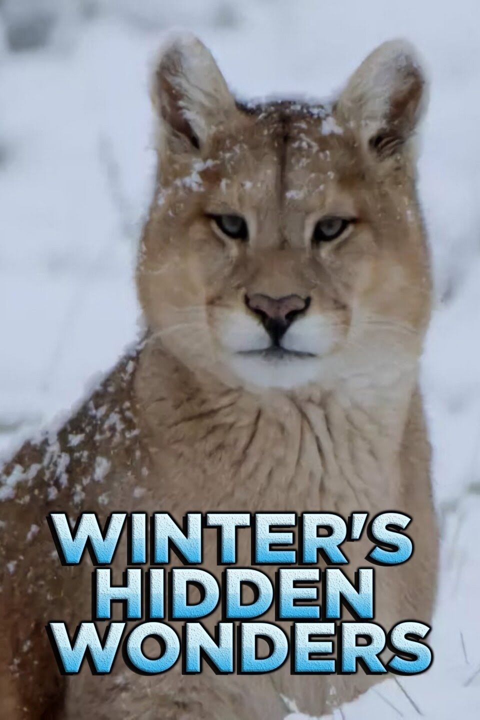 Winter's Hidden Wonders ne zaman