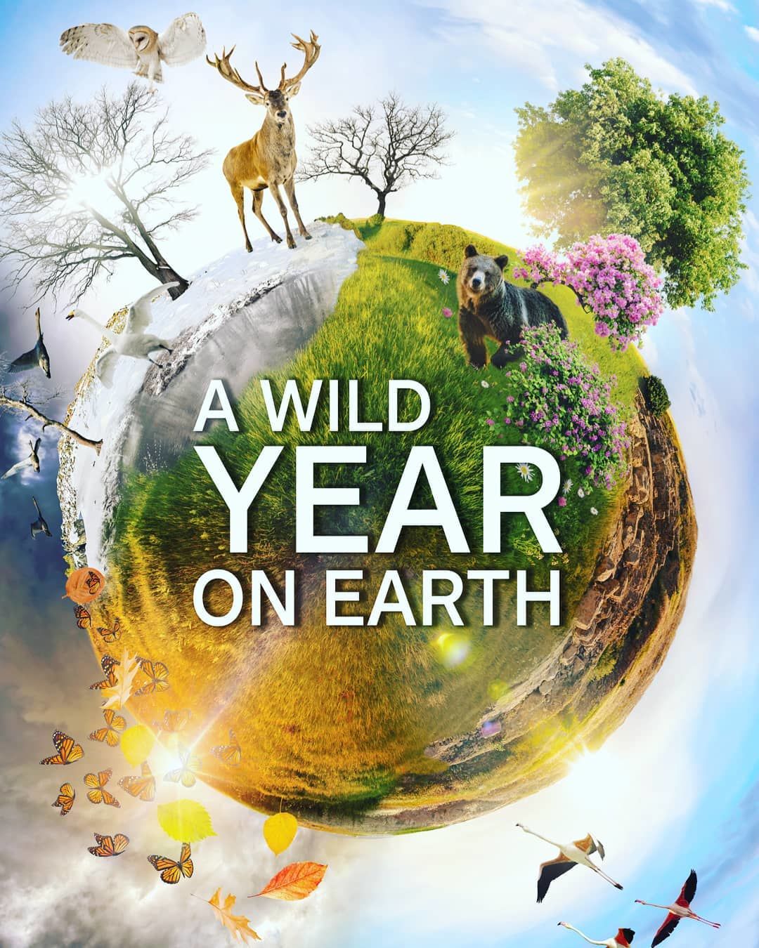 A Wild Year on Earth ne zaman