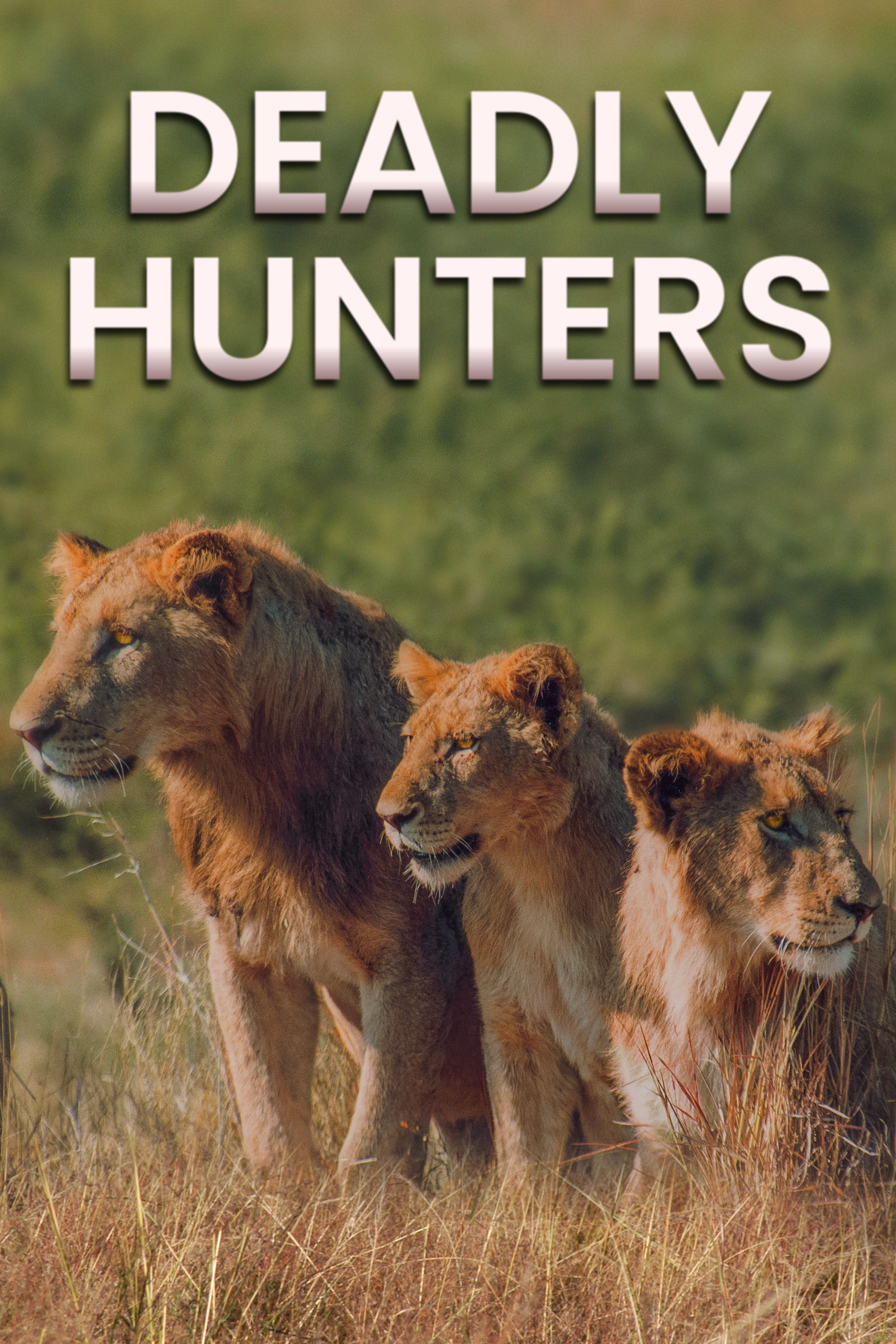 Deadly Hunters ne zaman