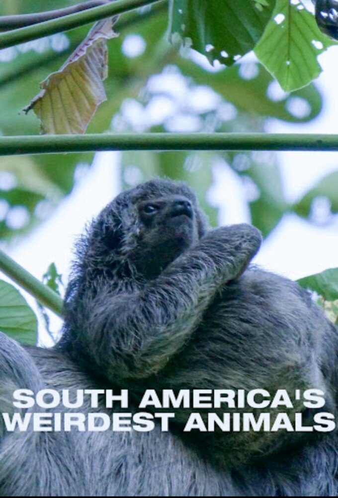 South Americas Weirdest Animals ne zaman