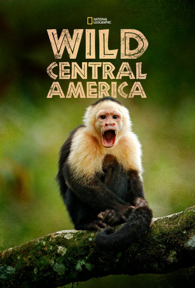 Wild Central America ne zaman
