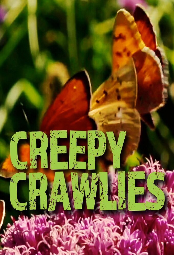 Creepy Crawlies ne zaman