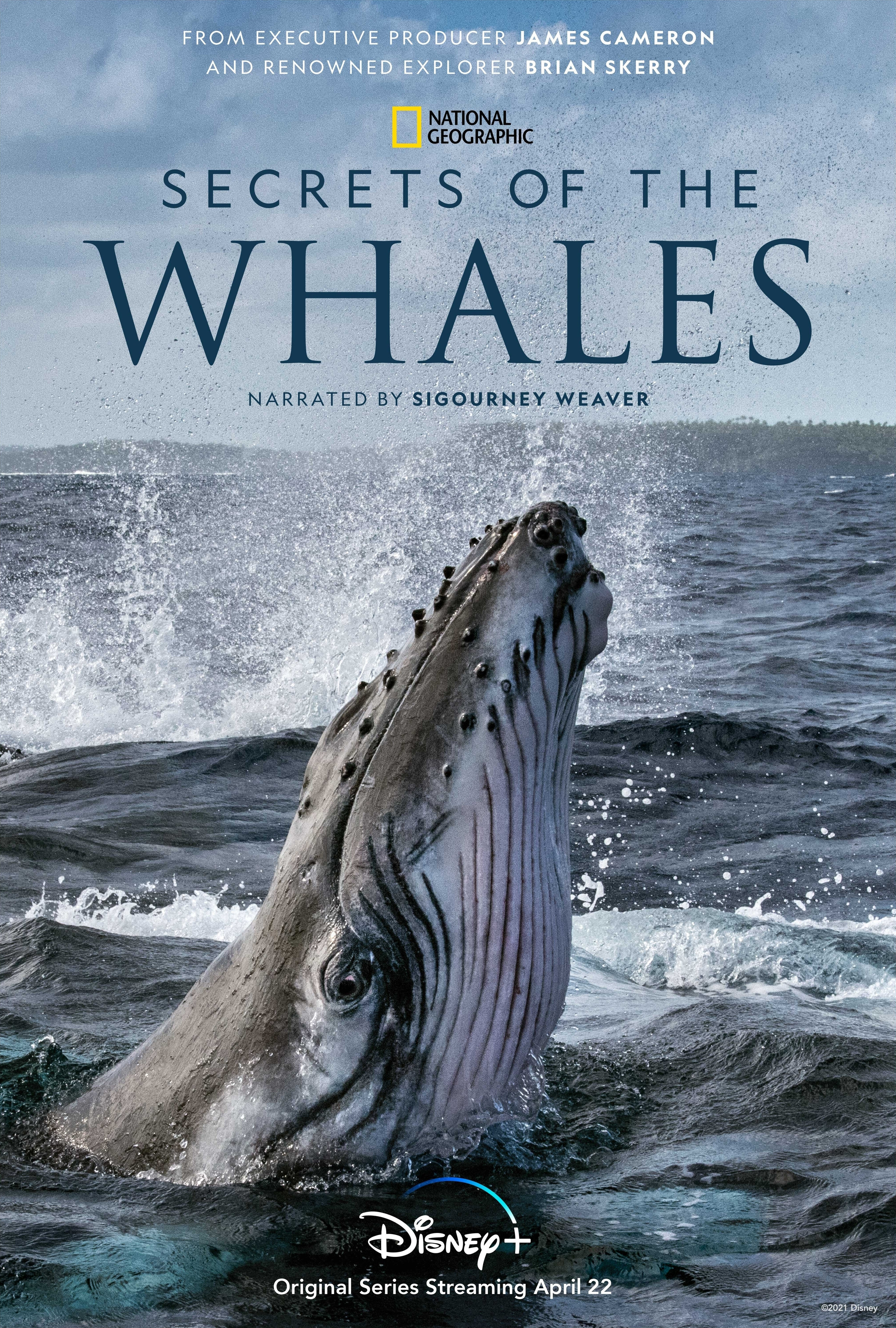 Secrets of the Whales ne zaman