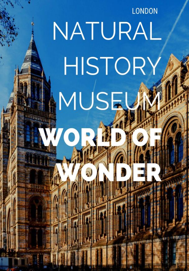 Natural History Museum: World of Wonder ne zaman