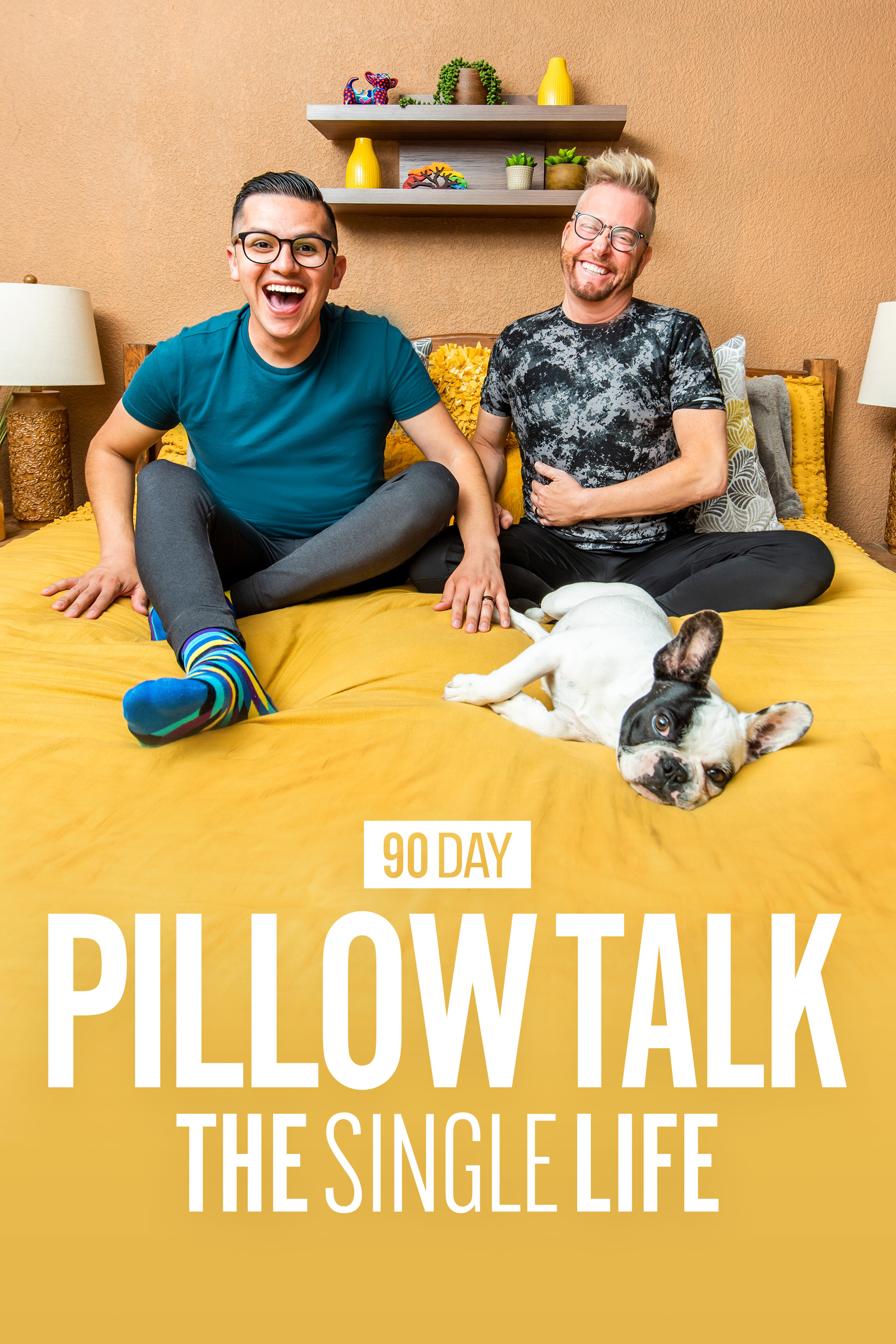 90 Day Pillow Talk: The Single Life ne zaman