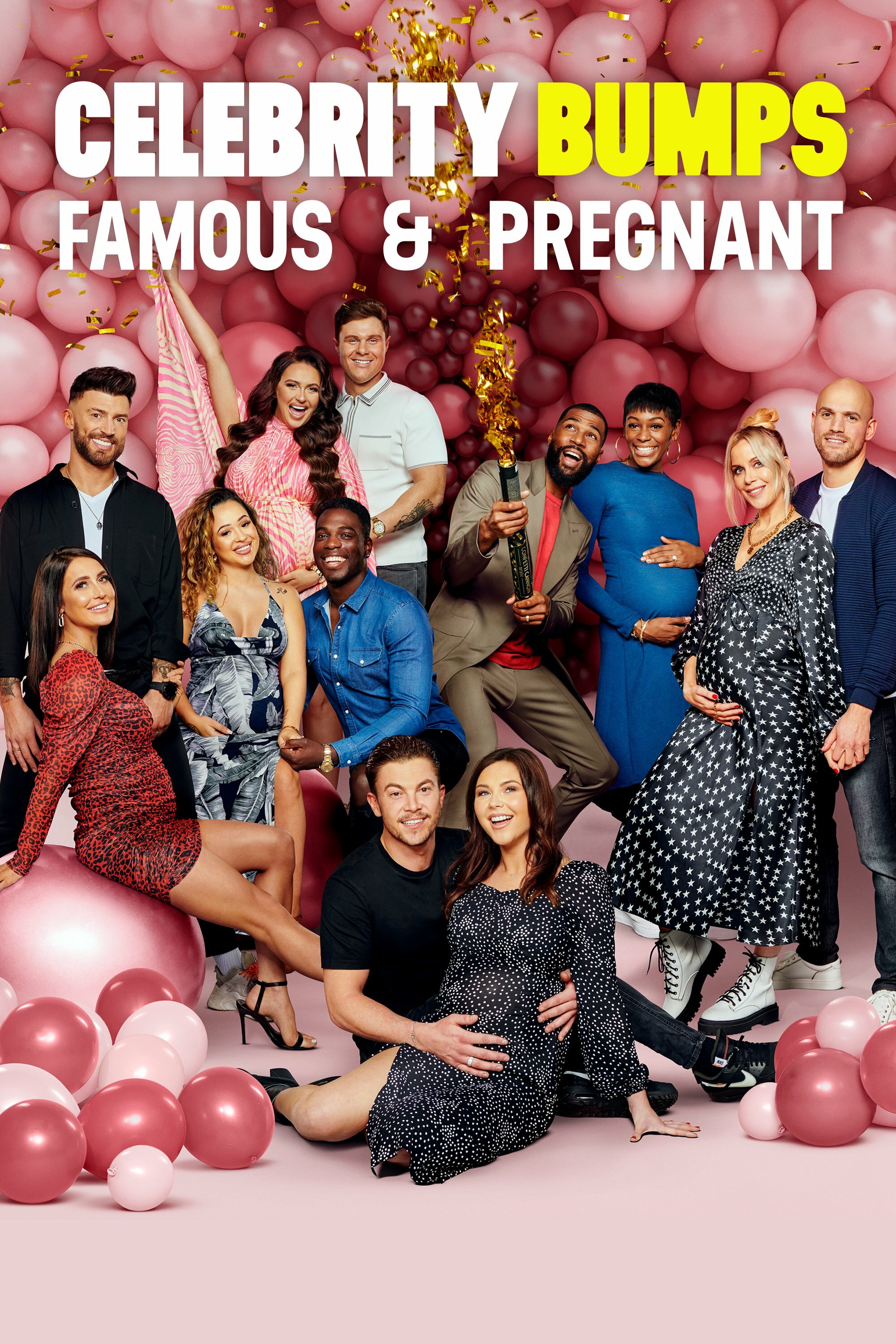 Celebrity Bumps: Famous & Pregnant ne zaman