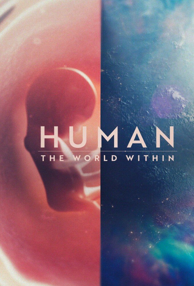 Human: The World Within ne zaman