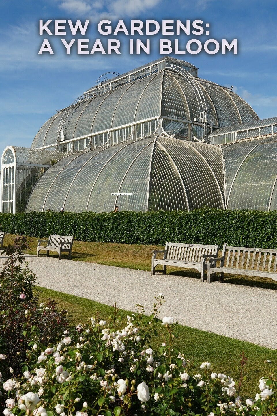 Kew Gardens: A Year in Bloom ne zaman
