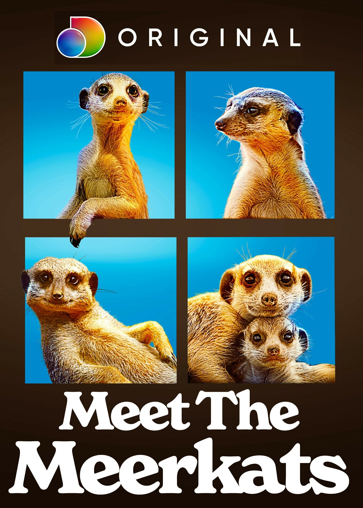 Meet the Meerkats ne zaman